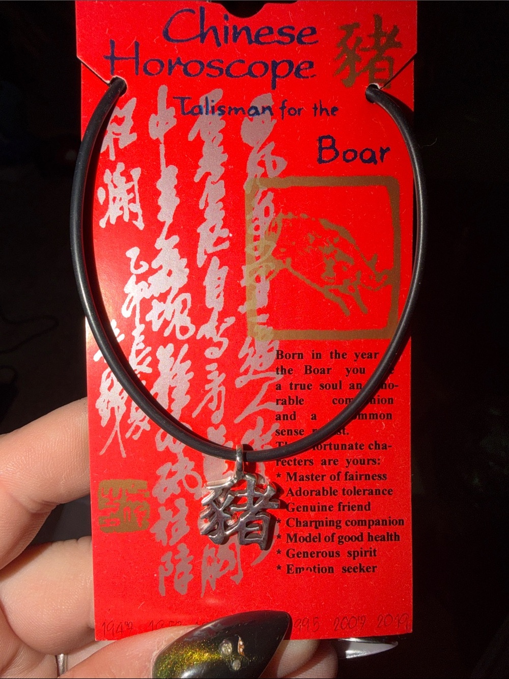 Boar Talisman Necklace - Black Cord with silver Charm